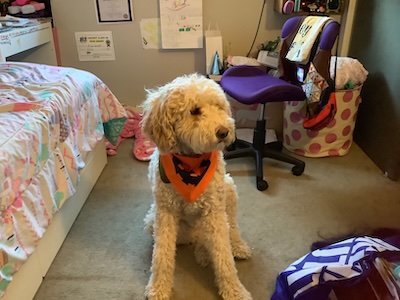 Bear being super cute and happy